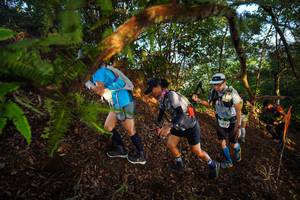 BIB: 21431
                            <button type="button" onclick="openModal(21870482)" class="btn btn-primary btn-sm float-right btn-popup" data-toggle="modal" data-target=".modal-high-quality">
                        <i class="fas fa-shopping-cart"></i> Add to Cart
                    </button>
                                            <button type="button" onclick="isThisMe(21870482, true)" class="btn btn-success btn-sm float-right btn-popup btn-isme hidden" data-toggle="tooltip" data-placement="bottom" title="นี่คือรูปของคุณใช่ไหม คลิกที่นี่เพื่อเอาเข้าอัลบั้ม">
                        <i class="fas fa-plus"></i> Add to album
                    </button>
                    <button type="button" onclick="isThisMe(21870482, false)" class="btn btn-warning btn-sm float-right btn-popup btn-isnotme hidden">
                        <i class="fas fa-ban"></i> Remove from album
                    </button>