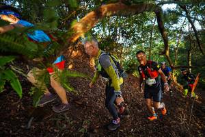 BIB: 289
                            <button type="button" onclick="openModal(21870185)" class="btn btn-primary btn-sm float-right btn-popup" data-toggle="modal" data-target=".modal-high-quality">
                        <i class="fas fa-shopping-cart"></i> Add to Cart
                    </button>
                                            <button type="button" onclick="isThisMe(21870185, true)" class="btn btn-success btn-sm float-right btn-popup btn-isme hidden" data-toggle="tooltip" data-placement="bottom" title="นี่คือรูปของคุณใช่ไหม คลิกที่นี่เพื่อเอาเข้าอัลบั้ม">
                        <i class="fas fa-plus"></i> Add to album
                    </button>
                    <button type="button" onclick="isThisMe(21870185, false)" class="btn btn-warning btn-sm float-right btn-popup btn-isnotme hidden">
                        <i class="fas fa-ban"></i> Remove from album
                    </button>