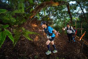 BIB: 
                            <button type="button" onclick="openModal(21873534)" class="btn btn-primary btn-sm float-right btn-popup" data-toggle="modal" data-target=".modal-high-quality">
                        <i class="fas fa-shopping-cart"></i> Add to Cart
                    </button>
                                            <button type="button" onclick="isThisMe(21873534, true)" class="btn btn-success btn-sm float-right btn-popup btn-isme hidden" data-toggle="tooltip" data-placement="bottom" title="นี่คือรูปของคุณใช่ไหม คลิกที่นี่เพื่อเอาเข้าอัลบั้ม">
                        <i class="fas fa-plus"></i> Add to album
                    </button>
                    <button type="button" onclick="isThisMe(21873534, false)" class="btn btn-warning btn-sm float-right btn-popup btn-isnotme hidden">
                        <i class="fas fa-ban"></i> Remove from album
                    </button>