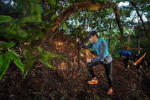 BIB: 
                            <button type="button" onclick="openModal(21873946)" class="btn btn-primary btn-sm float-right btn-popup" data-toggle="modal" data-target=".modal-high-quality">
                        <i class="fas fa-shopping-cart"></i> Add to Cart
                    </button>
                                            <button type="button" onclick="isThisMe(21873946, true)" class="btn btn-success btn-sm float-right btn-popup btn-isme hidden" data-toggle="tooltip" data-placement="bottom" title="นี่คือรูปของคุณใช่ไหม คลิกที่นี่เพื่อเอาเข้าอัลบั้ม">
                        <i class="fas fa-plus"></i> Add to album
                    </button>
                    <button type="button" onclick="isThisMe(21873946, false)" class="btn btn-warning btn-sm float-right btn-popup btn-isnotme hidden">
                        <i class="fas fa-ban"></i> Remove from album
                    </button>