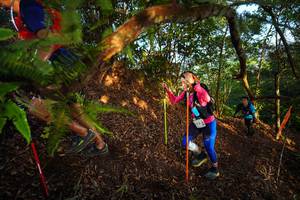 BIB: 
                            <button type="button" onclick="openModal(21870649)" class="btn btn-primary btn-sm float-right btn-popup" data-toggle="modal" data-target=".modal-high-quality">
                        <i class="fas fa-shopping-cart"></i> Add to Cart
                    </button>
                                            <button type="button" onclick="isThisMe(21870649, true)" class="btn btn-success btn-sm float-right btn-popup btn-isme hidden" data-toggle="tooltip" data-placement="bottom" title="นี่คือรูปของคุณใช่ไหม คลิกที่นี่เพื่อเอาเข้าอัลบั้ม">
                        <i class="fas fa-plus"></i> Add to album
                    </button>
                    <button type="button" onclick="isThisMe(21870649, false)" class="btn btn-warning btn-sm float-right btn-popup btn-isnotme hidden">
                        <i class="fas fa-ban"></i> Remove from album
                    </button>