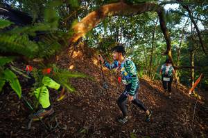 BIB: 
                            <button type="button" onclick="openModal(21870232)" class="btn btn-primary btn-sm float-right btn-popup" data-toggle="modal" data-target=".modal-high-quality">
                        <i class="fas fa-shopping-cart"></i> Add to Cart
                    </button>
                                            <button type="button" onclick="isThisMe(21870232, true)" class="btn btn-success btn-sm float-right btn-popup btn-isme hidden" data-toggle="tooltip" data-placement="bottom" title="นี่คือรูปของคุณใช่ไหม คลิกที่นี่เพื่อเอาเข้าอัลบั้ม">
                        <i class="fas fa-plus"></i> Add to album
                    </button>
                    <button type="button" onclick="isThisMe(21870232, false)" class="btn btn-warning btn-sm float-right btn-popup btn-isnotme hidden">
                        <i class="fas fa-ban"></i> Remove from album
                    </button>