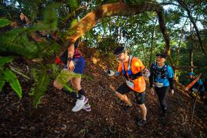 BIB: 
                            <button type="button" onclick="openModal(21869990)" class="btn btn-primary btn-sm float-right btn-popup" data-toggle="modal" data-target=".modal-high-quality">
                        <i class="fas fa-shopping-cart"></i> Add to Cart
                    </button>
                                            <button type="button" onclick="isThisMe(21869990, true)" class="btn btn-success btn-sm float-right btn-popup btn-isme hidden" data-toggle="tooltip" data-placement="bottom" title="นี่คือรูปของคุณใช่ไหม คลิกที่นี่เพื่อเอาเข้าอัลบั้ม">
                        <i class="fas fa-plus"></i> Add to album
                    </button>
                    <button type="button" onclick="isThisMe(21869990, false)" class="btn btn-warning btn-sm float-right btn-popup btn-isnotme hidden">
                        <i class="fas fa-ban"></i> Remove from album
                    </button>