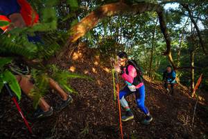 BIB: 
                            <button type="button" onclick="openModal(21870650)" class="btn btn-primary btn-sm float-right btn-popup" data-toggle="modal" data-target=".modal-high-quality">
                        <i class="fas fa-shopping-cart"></i> Add to Cart
                    </button>
                                            <button type="button" onclick="isThisMe(21870650, true)" class="btn btn-success btn-sm float-right btn-popup btn-isme hidden" data-toggle="tooltip" data-placement="bottom" title="นี่คือรูปของคุณใช่ไหม คลิกที่นี่เพื่อเอาเข้าอัลบั้ม">
                        <i class="fas fa-plus"></i> Add to album
                    </button>
                    <button type="button" onclick="isThisMe(21870650, false)" class="btn btn-warning btn-sm float-right btn-popup btn-isnotme hidden">
                        <i class="fas fa-ban"></i> Remove from album
                    </button>