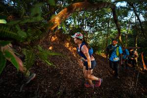 BIB: 
                            <button type="button" onclick="openModal(21870290)" class="btn btn-primary btn-sm float-right btn-popup" data-toggle="modal" data-target=".modal-high-quality">
                        <i class="fas fa-shopping-cart"></i> Add to Cart
                    </button>
                                            <button type="button" onclick="isThisMe(21870290, true)" class="btn btn-success btn-sm float-right btn-popup btn-isme hidden" data-toggle="tooltip" data-placement="bottom" title="นี่คือรูปของคุณใช่ไหม คลิกที่นี่เพื่อเอาเข้าอัลบั้ม">
                        <i class="fas fa-plus"></i> Add to album
                    </button>
                    <button type="button" onclick="isThisMe(21870290, false)" class="btn btn-warning btn-sm float-right btn-popup btn-isnotme hidden">
                        <i class="fas fa-ban"></i> Remove from album
                    </button>