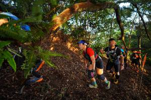 BIB: 
                            <button type="button" onclick="openModal(21870129)" class="btn btn-primary btn-sm float-right btn-popup" data-toggle="modal" data-target=".modal-high-quality">
                        <i class="fas fa-shopping-cart"></i> Add to Cart
                    </button>
                                            <button type="button" onclick="isThisMe(21870129, true)" class="btn btn-success btn-sm float-right btn-popup btn-isme hidden" data-toggle="tooltip" data-placement="bottom" title="นี่คือรูปของคุณใช่ไหม คลิกที่นี่เพื่อเอาเข้าอัลบั้ม">
                        <i class="fas fa-plus"></i> Add to album
                    </button>
                    <button type="button" onclick="isThisMe(21870129, false)" class="btn btn-warning btn-sm float-right btn-popup btn-isnotme hidden">
                        <i class="fas fa-ban"></i> Remove from album
                    </button>