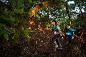 BIB: 
                            <button type="button" onclick="openModal(21870536)" class="btn btn-primary btn-sm float-right btn-popup" data-toggle="modal" data-target=".modal-high-quality">
                        <i class="fas fa-shopping-cart"></i> Add to Cart
                    </button>
                                            <button type="button" onclick="isThisMe(21870536, true)" class="btn btn-success btn-sm float-right btn-popup btn-isme hidden" data-toggle="tooltip" data-placement="bottom" title="นี่คือรูปของคุณใช่ไหม คลิกที่นี่เพื่อเอาเข้าอัลบั้ม">
                        <i class="fas fa-plus"></i> Add to album
                    </button>
                    <button type="button" onclick="isThisMe(21870536, false)" class="btn btn-warning btn-sm float-right btn-popup btn-isnotme hidden">
                        <i class="fas fa-ban"></i> Remove from album
                    </button>