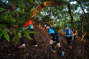 BIB: 
                            <button type="button" onclick="openModal(21869419)" class="btn btn-primary btn-sm float-right btn-popup" data-toggle="modal" data-target=".modal-high-quality">
                        <i class="fas fa-shopping-cart"></i> Add to Cart
                    </button>
                                            <button type="button" onclick="isThisMe(21869419, true)" class="btn btn-success btn-sm float-right btn-popup btn-isme hidden" data-toggle="tooltip" data-placement="bottom" title="นี่คือรูปของคุณใช่ไหม คลิกที่นี่เพื่อเอาเข้าอัลบั้ม">
                        <i class="fas fa-plus"></i> Add to album
                    </button>
                    <button type="button" onclick="isThisMe(21869419, false)" class="btn btn-warning btn-sm float-right btn-popup btn-isnotme hidden">
                        <i class="fas fa-ban"></i> Remove from album
                    </button>