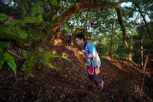 BIB: 
                            <button type="button" onclick="openModal(21871202)" class="btn btn-primary btn-sm float-right btn-popup" data-toggle="modal" data-target=".modal-high-quality">
                        <i class="fas fa-shopping-cart"></i> Add to Cart
                    </button>
                                            <button type="button" onclick="isThisMe(21871202, true)" class="btn btn-success btn-sm float-right btn-popup btn-isme hidden" data-toggle="tooltip" data-placement="bottom" title="นี่คือรูปของคุณใช่ไหม คลิกที่นี่เพื่อเอาเข้าอัลบั้ม">
                        <i class="fas fa-plus"></i> Add to album
                    </button>
                    <button type="button" onclick="isThisMe(21871202, false)" class="btn btn-warning btn-sm float-right btn-popup btn-isnotme hidden">
                        <i class="fas fa-ban"></i> Remove from album
                    </button>