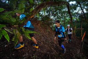 BIB: 
                            <button type="button" onclick="openModal(21866972)" class="btn btn-primary btn-sm float-right btn-popup" data-toggle="modal" data-target=".modal-high-quality">
                        <i class="fas fa-shopping-cart"></i> Add to Cart
                    </button>
                                            <button type="button" onclick="isThisMe(21866972, true)" class="btn btn-success btn-sm float-right btn-popup btn-isme hidden" data-toggle="tooltip" data-placement="bottom" title="นี่คือรูปของคุณใช่ไหม คลิกที่นี่เพื่อเอาเข้าอัลบั้ม">
                        <i class="fas fa-plus"></i> Add to album
                    </button>
                    <button type="button" onclick="isThisMe(21866972, false)" class="btn btn-warning btn-sm float-right btn-popup btn-isnotme hidden">
                        <i class="fas fa-ban"></i> Remove from album
                    </button>