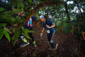 BIB: 52845
                            <button type="button" onclick="openModal(21867411)" class="btn btn-primary btn-sm float-right btn-popup" data-toggle="modal" data-target=".modal-high-quality">
                        <i class="fas fa-shopping-cart"></i> Add to Cart
                    </button>
                                            <button type="button" onclick="isThisMe(21867411, true)" class="btn btn-success btn-sm float-right btn-popup btn-isme hidden" data-toggle="tooltip" data-placement="bottom" title="นี่คือรูปของคุณใช่ไหม คลิกที่นี่เพื่อเอาเข้าอัลบั้ม">
                        <i class="fas fa-plus"></i> Add to album
                    </button>
                    <button type="button" onclick="isThisMe(21867411, false)" class="btn btn-warning btn-sm float-right btn-popup btn-isnotme hidden">
                        <i class="fas fa-ban"></i> Remove from album
                    </button>