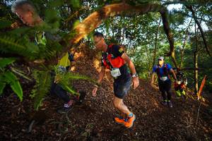 BIB: 1189
                            <button type="button" onclick="openModal(21870192)" class="btn btn-primary btn-sm float-right btn-popup" data-toggle="modal" data-target=".modal-high-quality">
                        <i class="fas fa-shopping-cart"></i> Add to Cart
                    </button>
                                            <button type="button" onclick="isThisMe(21870192, true)" class="btn btn-success btn-sm float-right btn-popup btn-isme hidden" data-toggle="tooltip" data-placement="bottom" title="นี่คือรูปของคุณใช่ไหม คลิกที่นี่เพื่อเอาเข้าอัลบั้ม">
                        <i class="fas fa-plus"></i> Add to album
                    </button>
                    <button type="button" onclick="isThisMe(21870192, false)" class="btn btn-warning btn-sm float-right btn-popup btn-isnotme hidden">
                        <i class="fas fa-ban"></i> Remove from album
                    </button>