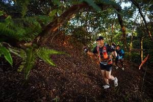 BIB: 
                            <button type="button" onclick="openModal(21865838)" class="btn btn-primary btn-sm float-right btn-popup" data-toggle="modal" data-target=".modal-high-quality">
                        <i class="fas fa-shopping-cart"></i> Add to Cart
                    </button>
                                            <button type="button" onclick="isThisMe(21865838, true)" class="btn btn-success btn-sm float-right btn-popup btn-isme hidden" data-toggle="tooltip" data-placement="bottom" title="นี่คือรูปของคุณใช่ไหม คลิกที่นี่เพื่อเอาเข้าอัลบั้ม">
                        <i class="fas fa-plus"></i> Add to album
                    </button>
                    <button type="button" onclick="isThisMe(21865838, false)" class="btn btn-warning btn-sm float-right btn-popup btn-isnotme hidden">
                        <i class="fas fa-ban"></i> Remove from album
                    </button>