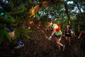 BIB: 
                            <button type="button" onclick="openModal(21870275)" class="btn btn-primary btn-sm float-right btn-popup" data-toggle="modal" data-target=".modal-high-quality">
                        <i class="fas fa-shopping-cart"></i> Add to Cart
                    </button>
                                            <button type="button" onclick="isThisMe(21870275, true)" class="btn btn-success btn-sm float-right btn-popup btn-isme hidden" data-toggle="tooltip" data-placement="bottom" title="นี่คือรูปของคุณใช่ไหม คลิกที่นี่เพื่อเอาเข้าอัลบั้ม">
                        <i class="fas fa-plus"></i> Add to album
                    </button>
                    <button type="button" onclick="isThisMe(21870275, false)" class="btn btn-warning btn-sm float-right btn-popup btn-isnotme hidden">
                        <i class="fas fa-ban"></i> Remove from album
                    </button>