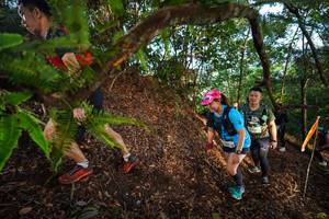 BIB: 
                            <button type="button" onclick="openModal(21879216)" class="btn btn-primary btn-sm float-right btn-popup" data-toggle="modal" data-target=".modal-high-quality">
                        <i class="fas fa-shopping-cart"></i> Add to Cart
                    </button>
                                            <button type="button" onclick="isThisMe(21879216, true)" class="btn btn-success btn-sm float-right btn-popup btn-isme hidden" data-toggle="tooltip" data-placement="bottom" title="นี่คือรูปของคุณใช่ไหม คลิกที่นี่เพื่อเอาเข้าอัลบั้ม">
                        <i class="fas fa-plus"></i> Add to album
                    </button>
                    <button type="button" onclick="isThisMe(21879216, false)" class="btn btn-warning btn-sm float-right btn-popup btn-isnotme hidden">
                        <i class="fas fa-ban"></i> Remove from album
                    </button>