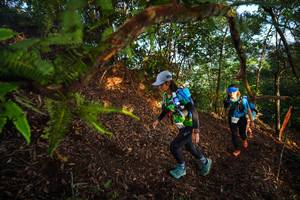 BIB: 
                            <button type="button" onclick="openModal(21871426)" class="btn btn-primary btn-sm float-right btn-popup" data-toggle="modal" data-target=".modal-high-quality">
                        <i class="fas fa-shopping-cart"></i> Add to Cart
                    </button>
                                            <button type="button" onclick="isThisMe(21871426, true)" class="btn btn-success btn-sm float-right btn-popup btn-isme hidden" data-toggle="tooltip" data-placement="bottom" title="นี่คือรูปของคุณใช่ไหม คลิกที่นี่เพื่อเอาเข้าอัลบั้ม">
                        <i class="fas fa-plus"></i> Add to album
                    </button>
                    <button type="button" onclick="isThisMe(21871426, false)" class="btn btn-warning btn-sm float-right btn-popup btn-isnotme hidden">
                        <i class="fas fa-ban"></i> Remove from album
                    </button>