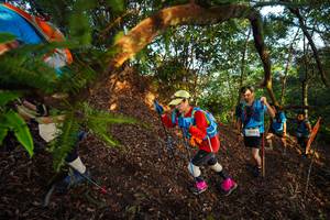 BIB: 
                            <button type="button" onclick="openModal(21870062)" class="btn btn-primary btn-sm float-right btn-popup" data-toggle="modal" data-target=".modal-high-quality">
                        <i class="fas fa-shopping-cart"></i> Add to Cart
                    </button>
                                            <button type="button" onclick="isThisMe(21870062, true)" class="btn btn-success btn-sm float-right btn-popup btn-isme hidden" data-toggle="tooltip" data-placement="bottom" title="นี่คือรูปของคุณใช่ไหม คลิกที่นี่เพื่อเอาเข้าอัลบั้ม">
                        <i class="fas fa-plus"></i> Add to album
                    </button>
                    <button type="button" onclick="isThisMe(21870062, false)" class="btn btn-warning btn-sm float-right btn-popup btn-isnotme hidden">
                        <i class="fas fa-ban"></i> Remove from album
                    </button>