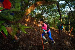 BIB: 
                            <button type="button" onclick="openModal(21870662)" class="btn btn-primary btn-sm float-right btn-popup" data-toggle="modal" data-target=".modal-high-quality">
                        <i class="fas fa-shopping-cart"></i> Add to Cart
                    </button>
                                            <button type="button" onclick="isThisMe(21870662, true)" class="btn btn-success btn-sm float-right btn-popup btn-isme hidden" data-toggle="tooltip" data-placement="bottom" title="นี่คือรูปของคุณใช่ไหม คลิกที่นี่เพื่อเอาเข้าอัลบั้ม">
                        <i class="fas fa-plus"></i> Add to album
                    </button>
                    <button type="button" onclick="isThisMe(21870662, false)" class="btn btn-warning btn-sm float-right btn-popup btn-isnotme hidden">
                        <i class="fas fa-ban"></i> Remove from album
                    </button>