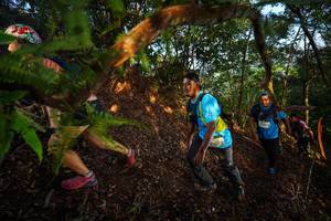 BIB: 
                            <button type="button" onclick="openModal(21870297)" class="btn btn-primary btn-sm float-right btn-popup" data-toggle="modal" data-target=".modal-high-quality">
                        <i class="fas fa-shopping-cart"></i> Add to Cart
                    </button>
                                            <button type="button" onclick="isThisMe(21870297, true)" class="btn btn-success btn-sm float-right btn-popup btn-isme hidden" data-toggle="tooltip" data-placement="bottom" title="นี่คือรูปของคุณใช่ไหม คลิกที่นี่เพื่อเอาเข้าอัลบั้ม">
                        <i class="fas fa-plus"></i> Add to album
                    </button>
                    <button type="button" onclick="isThisMe(21870297, false)" class="btn btn-warning btn-sm float-right btn-popup btn-isnotme hidden">
                        <i class="fas fa-ban"></i> Remove from album
                    </button>