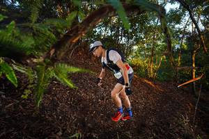 BIB: 2239
                            <button type="button" onclick="openModal(21865391)" class="btn btn-primary btn-sm float-right btn-popup" data-toggle="modal" data-target=".modal-high-quality">
                        <i class="fas fa-shopping-cart"></i> Add to Cart
                    </button>
                                            <button type="button" onclick="isThisMe(21865391, true)" class="btn btn-success btn-sm float-right btn-popup btn-isme hidden" data-toggle="tooltip" data-placement="bottom" title="นี่คือรูปของคุณใช่ไหม คลิกที่นี่เพื่อเอาเข้าอัลบั้ม">
                        <i class="fas fa-plus"></i> Add to album
                    </button>
                    <button type="button" onclick="isThisMe(21865391, false)" class="btn btn-warning btn-sm float-right btn-popup btn-isnotme hidden">
                        <i class="fas fa-ban"></i> Remove from album
                    </button>