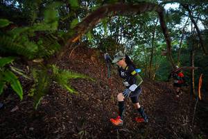 BIB: 
                            <button type="button" onclick="openModal(21867200)" class="btn btn-primary btn-sm float-right btn-popup" data-toggle="modal" data-target=".modal-high-quality">
                        <i class="fas fa-shopping-cart"></i> Add to Cart
                    </button>
                                            <button type="button" onclick="isThisMe(21867200, true)" class="btn btn-success btn-sm float-right btn-popup btn-isme hidden" data-toggle="tooltip" data-placement="bottom" title="นี่คือรูปของคุณใช่ไหม คลิกที่นี่เพื่อเอาเข้าอัลบั้ม">
                        <i class="fas fa-plus"></i> Add to album
                    </button>
                    <button type="button" onclick="isThisMe(21867200, false)" class="btn btn-warning btn-sm float-right btn-popup btn-isnotme hidden">
                        <i class="fas fa-ban"></i> Remove from album
                    </button>