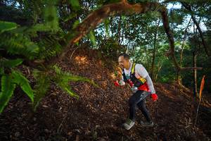 BIB: 
                            <button type="button" onclick="openModal(21872574)" class="btn btn-primary btn-sm float-right btn-popup" data-toggle="modal" data-target=".modal-high-quality">
                        <i class="fas fa-shopping-cart"></i> Add to Cart
                    </button>
                                            <button type="button" onclick="isThisMe(21872574, true)" class="btn btn-success btn-sm float-right btn-popup btn-isme hidden" data-toggle="tooltip" data-placement="bottom" title="นี่คือรูปของคุณใช่ไหม คลิกที่นี่เพื่อเอาเข้าอัลบั้ม">
                        <i class="fas fa-plus"></i> Add to album
                    </button>
                    <button type="button" onclick="isThisMe(21872574, false)" class="btn btn-warning btn-sm float-right btn-popup btn-isnotme hidden">
                        <i class="fas fa-ban"></i> Remove from album
                    </button>