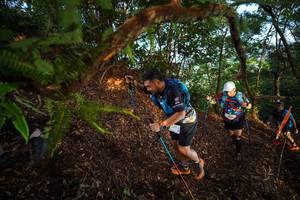 BIB: 
                            <button type="button" onclick="openModal(21871955)" class="btn btn-primary btn-sm float-right btn-popup" data-toggle="modal" data-target=".modal-high-quality">
                        <i class="fas fa-shopping-cart"></i> Add to Cart
                    </button>
                                            <button type="button" onclick="isThisMe(21871955, true)" class="btn btn-success btn-sm float-right btn-popup btn-isme hidden" data-toggle="tooltip" data-placement="bottom" title="นี่คือรูปของคุณใช่ไหม คลิกที่นี่เพื่อเอาเข้าอัลบั้ม">
                        <i class="fas fa-plus"></i> Add to album
                    </button>
                    <button type="button" onclick="isThisMe(21871955, false)" class="btn btn-warning btn-sm float-right btn-popup btn-isnotme hidden">
                        <i class="fas fa-ban"></i> Remove from album
                    </button>