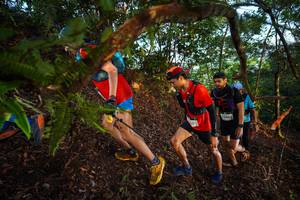 BIB: 2248
                            <button type="button" onclick="openModal(21868572)" class="btn btn-primary btn-sm float-right btn-popup" data-toggle="modal" data-target=".modal-high-quality">
                        <i class="fas fa-shopping-cart"></i> Add to Cart
                    </button>
                                            <button type="button" onclick="isThisMe(21868572, true)" class="btn btn-success btn-sm float-right btn-popup btn-isme hidden" data-toggle="tooltip" data-placement="bottom" title="นี่คือรูปของคุณใช่ไหม คลิกที่นี่เพื่อเอาเข้าอัลบั้ม">
                        <i class="fas fa-plus"></i> Add to album
                    </button>
                    <button type="button" onclick="isThisMe(21868572, false)" class="btn btn-warning btn-sm float-right btn-popup btn-isnotme hidden">
                        <i class="fas fa-ban"></i> Remove from album
                    </button>