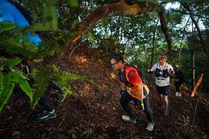 BIB: 
                            <button type="button" onclick="openModal(21873153)" class="btn btn-primary btn-sm float-right btn-popup" data-toggle="modal" data-target=".modal-high-quality">
                        <i class="fas fa-shopping-cart"></i> Add to Cart
                    </button>
                                            <button type="button" onclick="isThisMe(21873153, true)" class="btn btn-success btn-sm float-right btn-popup btn-isme hidden" data-toggle="tooltip" data-placement="bottom" title="นี่คือรูปของคุณใช่ไหม คลิกที่นี่เพื่อเอาเข้าอัลบั้ม">
                        <i class="fas fa-plus"></i> Add to album
                    </button>
                    <button type="button" onclick="isThisMe(21873153, false)" class="btn btn-warning btn-sm float-right btn-popup btn-isnotme hidden">
                        <i class="fas fa-ban"></i> Remove from album
                    </button>