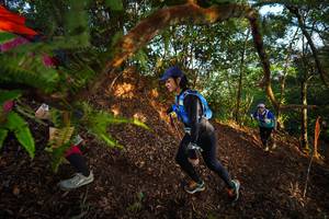 BIB: 
                            <button type="button" onclick="openModal(21871110)" class="btn btn-primary btn-sm float-right btn-popup" data-toggle="modal" data-target=".modal-high-quality">
                        <i class="fas fa-shopping-cart"></i> Add to Cart
                    </button>
                                            <button type="button" onclick="isThisMe(21871110, true)" class="btn btn-success btn-sm float-right btn-popup btn-isme hidden" data-toggle="tooltip" data-placement="bottom" title="นี่คือรูปของคุณใช่ไหม คลิกที่นี่เพื่อเอาเข้าอัลบั้ม">
                        <i class="fas fa-plus"></i> Add to album
                    </button>
                    <button type="button" onclick="isThisMe(21871110, false)" class="btn btn-warning btn-sm float-right btn-popup btn-isnotme hidden">
                        <i class="fas fa-ban"></i> Remove from album
                    </button>