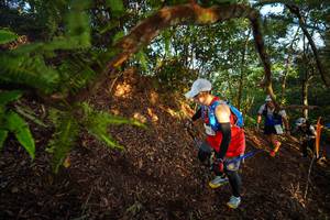 BIB: 
                            <button type="button" onclick="openModal(21870983)" class="btn btn-primary btn-sm float-right btn-popup" data-toggle="modal" data-target=".modal-high-quality">
                        <i class="fas fa-shopping-cart"></i> Add to Cart
                    </button>
                                            <button type="button" onclick="isThisMe(21870983, true)" class="btn btn-success btn-sm float-right btn-popup btn-isme hidden" data-toggle="tooltip" data-placement="bottom" title="นี่คือรูปของคุณใช่ไหม คลิกที่นี่เพื่อเอาเข้าอัลบั้ม">
                        <i class="fas fa-plus"></i> Add to album
                    </button>
                    <button type="button" onclick="isThisMe(21870983, false)" class="btn btn-warning btn-sm float-right btn-popup btn-isnotme hidden">
                        <i class="fas fa-ban"></i> Remove from album
                    </button>