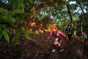 BIB: 
                            <button type="button" onclick="openModal(21871089)" class="btn btn-primary btn-sm float-right btn-popup" data-toggle="modal" data-target=".modal-high-quality">
                        <i class="fas fa-shopping-cart"></i> Add to Cart
                    </button>
                                            <button type="button" onclick="isThisMe(21871089, true)" class="btn btn-success btn-sm float-right btn-popup btn-isme hidden" data-toggle="tooltip" data-placement="bottom" title="นี่คือรูปของคุณใช่ไหม คลิกที่นี่เพื่อเอาเข้าอัลบั้ม">
                        <i class="fas fa-plus"></i> Add to album
                    </button>
                    <button type="button" onclick="isThisMe(21871089, false)" class="btn btn-warning btn-sm float-right btn-popup btn-isnotme hidden">
                        <i class="fas fa-ban"></i> Remove from album
                    </button>