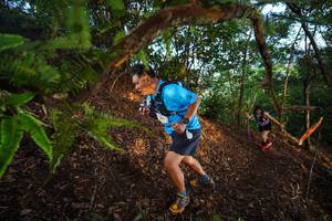 BIB: 
                            <button type="button" onclick="openModal(21875286)" class="btn btn-primary btn-sm float-right btn-popup" data-toggle="modal" data-target=".modal-high-quality">
                        <i class="fas fa-shopping-cart"></i> Add to Cart
                    </button>
                                            <button type="button" onclick="isThisMe(21875286, true)" class="btn btn-success btn-sm float-right btn-popup btn-isme hidden" data-toggle="tooltip" data-placement="bottom" title="นี่คือรูปของคุณใช่ไหม คลิกที่นี่เพื่อเอาเข้าอัลบั้ม">
                        <i class="fas fa-plus"></i> Add to album
                    </button>
                    <button type="button" onclick="isThisMe(21875286, false)" class="btn btn-warning btn-sm float-right btn-popup btn-isnotme hidden">
                        <i class="fas fa-ban"></i> Remove from album
                    </button>