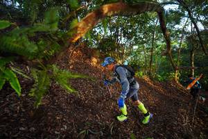 BIB: 
                            <button type="button" onclick="openModal(21869584)" class="btn btn-primary btn-sm float-right btn-popup" data-toggle="modal" data-target=".modal-high-quality">
                        <i class="fas fa-shopping-cart"></i> Add to Cart
                    </button>
                                            <button type="button" onclick="isThisMe(21869584, true)" class="btn btn-success btn-sm float-right btn-popup btn-isme hidden" data-toggle="tooltip" data-placement="bottom" title="นี่คือรูปของคุณใช่ไหม คลิกที่นี่เพื่อเอาเข้าอัลบั้ม">
                        <i class="fas fa-plus"></i> Add to album
                    </button>
                    <button type="button" onclick="isThisMe(21869584, false)" class="btn btn-warning btn-sm float-right btn-popup btn-isnotme hidden">
                        <i class="fas fa-ban"></i> Remove from album
                    </button>