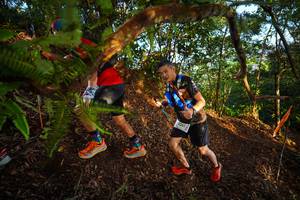 BIB: 2261
                            <button type="button" onclick="openModal(21870952)" class="btn btn-primary btn-sm float-right btn-popup" data-toggle="modal" data-target=".modal-high-quality">
                        <i class="fas fa-shopping-cart"></i> Add to Cart
                    </button>
                                            <button type="button" onclick="isThisMe(21870952, true)" class="btn btn-success btn-sm float-right btn-popup btn-isme hidden" data-toggle="tooltip" data-placement="bottom" title="นี่คือรูปของคุณใช่ไหม คลิกที่นี่เพื่อเอาเข้าอัลบั้ม">
                        <i class="fas fa-plus"></i> Add to album
                    </button>
                    <button type="button" onclick="isThisMe(21870952, false)" class="btn btn-warning btn-sm float-right btn-popup btn-isnotme hidden">
                        <i class="fas fa-ban"></i> Remove from album
                    </button>