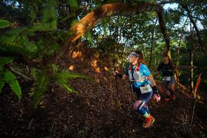 BIB: 2403
                            <button type="button" onclick="openModal(21870367)" class="btn btn-primary btn-sm float-right btn-popup" data-toggle="modal" data-target=".modal-high-quality">
                        <i class="fas fa-shopping-cart"></i> Add to Cart
                    </button>
                                            <button type="button" onclick="isThisMe(21870367, true)" class="btn btn-success btn-sm float-right btn-popup btn-isme hidden" data-toggle="tooltip" data-placement="bottom" title="นี่คือรูปของคุณใช่ไหม คลิกที่นี่เพื่อเอาเข้าอัลบั้ม">
                        <i class="fas fa-plus"></i> Add to album
                    </button>
                    <button type="button" onclick="isThisMe(21870367, false)" class="btn btn-warning btn-sm float-right btn-popup btn-isnotme hidden">
                        <i class="fas fa-ban"></i> Remove from album
                    </button>