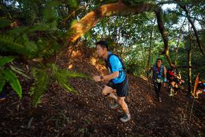 BIB: 
                            <button type="button" onclick="openModal(21870106)" class="btn btn-primary btn-sm float-right btn-popup" data-toggle="modal" data-target=".modal-high-quality">
                        <i class="fas fa-shopping-cart"></i> Add to Cart
                    </button>
                                            <button type="button" onclick="isThisMe(21870106, true)" class="btn btn-success btn-sm float-right btn-popup btn-isme hidden" data-toggle="tooltip" data-placement="bottom" title="นี่คือรูปของคุณใช่ไหม คลิกที่นี่เพื่อเอาเข้าอัลบั้ม">
                        <i class="fas fa-plus"></i> Add to album
                    </button>
                    <button type="button" onclick="isThisMe(21870106, false)" class="btn btn-warning btn-sm float-right btn-popup btn-isnotme hidden">
                        <i class="fas fa-ban"></i> Remove from album
                    </button>