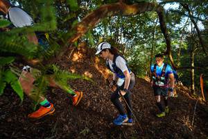 BIB: 
                            <button type="button" onclick="openModal(21871035)" class="btn btn-primary btn-sm float-right btn-popup" data-toggle="modal" data-target=".modal-high-quality">
                        <i class="fas fa-shopping-cart"></i> Add to Cart
                    </button>
                                            <button type="button" onclick="isThisMe(21871035, true)" class="btn btn-success btn-sm float-right btn-popup btn-isme hidden" data-toggle="tooltip" data-placement="bottom" title="นี่คือรูปของคุณใช่ไหม คลิกที่นี่เพื่อเอาเข้าอัลบั้ม">
                        <i class="fas fa-plus"></i> Add to album
                    </button>
                    <button type="button" onclick="isThisMe(21871035, false)" class="btn btn-warning btn-sm float-right btn-popup btn-isnotme hidden">
                        <i class="fas fa-ban"></i> Remove from album
                    </button>