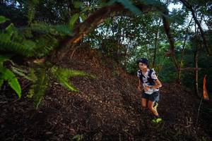 BIB: 
                            <button type="button" onclick="openModal(21866220)" class="btn btn-primary btn-sm float-right btn-popup" data-toggle="modal" data-target=".modal-high-quality">
                        <i class="fas fa-shopping-cart"></i> Add to Cart
                    </button>
                                            <button type="button" onclick="isThisMe(21866220, true)" class="btn btn-success btn-sm float-right btn-popup btn-isme hidden" data-toggle="tooltip" data-placement="bottom" title="นี่คือรูปของคุณใช่ไหม คลิกที่นี่เพื่อเอาเข้าอัลบั้ม">
                        <i class="fas fa-plus"></i> Add to album
                    </button>
                    <button type="button" onclick="isThisMe(21866220, false)" class="btn btn-warning btn-sm float-right btn-popup btn-isnotme hidden">
                        <i class="fas fa-ban"></i> Remove from album
                    </button>