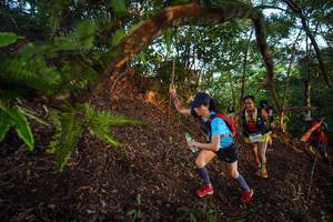 BIB: 
                            <button type="button" onclick="openModal(21868463)" class="btn btn-primary btn-sm float-right btn-popup" data-toggle="modal" data-target=".modal-high-quality">
                        <i class="fas fa-shopping-cart"></i> Add to Cart
                    </button>
                                            <button type="button" onclick="isThisMe(21868463, true)" class="btn btn-success btn-sm float-right btn-popup btn-isme hidden" data-toggle="tooltip" data-placement="bottom" title="นี่คือรูปของคุณใช่ไหม คลิกที่นี่เพื่อเอาเข้าอัลบั้ม">
                        <i class="fas fa-plus"></i> Add to album
                    </button>
                    <button type="button" onclick="isThisMe(21868463, false)" class="btn btn-warning btn-sm float-right btn-popup btn-isnotme hidden">
                        <i class="fas fa-ban"></i> Remove from album
                    </button>