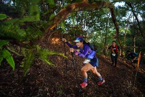 BIB: 
                            <button type="button" onclick="openModal(21871890)" class="btn btn-primary btn-sm float-right btn-popup" data-toggle="modal" data-target=".modal-high-quality">
                        <i class="fas fa-shopping-cart"></i> Add to Cart
                    </button>
                                            <button type="button" onclick="isThisMe(21871890, true)" class="btn btn-success btn-sm float-right btn-popup btn-isme hidden" data-toggle="tooltip" data-placement="bottom" title="นี่คือรูปของคุณใช่ไหม คลิกที่นี่เพื่อเอาเข้าอัลบั้ม">
                        <i class="fas fa-plus"></i> Add to album
                    </button>
                    <button type="button" onclick="isThisMe(21871890, false)" class="btn btn-warning btn-sm float-right btn-popup btn-isnotme hidden">
                        <i class="fas fa-ban"></i> Remove from album
                    </button>