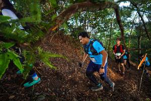 BIB: 
                            <button type="button" onclick="openModal(21879087)" class="btn btn-primary btn-sm float-right btn-popup" data-toggle="modal" data-target=".modal-high-quality">
                        <i class="fas fa-shopping-cart"></i> Add to Cart
                    </button>
                                            <button type="button" onclick="isThisMe(21879087, true)" class="btn btn-success btn-sm float-right btn-popup btn-isme hidden" data-toggle="tooltip" data-placement="bottom" title="นี่คือรูปของคุณใช่ไหม คลิกที่นี่เพื่อเอาเข้าอัลบั้ม">
                        <i class="fas fa-plus"></i> Add to album
                    </button>
                    <button type="button" onclick="isThisMe(21879087, false)" class="btn btn-warning btn-sm float-right btn-popup btn-isnotme hidden">
                        <i class="fas fa-ban"></i> Remove from album
                    </button>