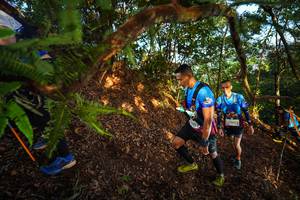 BIB: 2365
                            <button type="button" onclick="openModal(21871039)" class="btn btn-primary btn-sm float-right btn-popup" data-toggle="modal" data-target=".modal-high-quality">
                        <i class="fas fa-shopping-cart"></i> Add to Cart
                    </button>
                                            <button type="button" onclick="isThisMe(21871039, true)" class="btn btn-success btn-sm float-right btn-popup btn-isme hidden" data-toggle="tooltip" data-placement="bottom" title="นี่คือรูปของคุณใช่ไหม คลิกที่นี่เพื่อเอาเข้าอัลบั้ม">
                        <i class="fas fa-plus"></i> Add to album
                    </button>
                    <button type="button" onclick="isThisMe(21871039, false)" class="btn btn-warning btn-sm float-right btn-popup btn-isnotme hidden">
                        <i class="fas fa-ban"></i> Remove from album
                    </button>