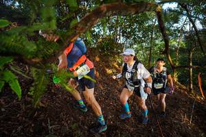 BIB: 2143, 244
                            <button type="button" onclick="openModal(21871335)" class="btn btn-primary btn-sm float-right btn-popup" data-toggle="modal" data-target=".modal-high-quality">
                        <i class="fas fa-shopping-cart"></i> Add to Cart
                    </button>
                                            <button type="button" onclick="isThisMe(21871335, true)" class="btn btn-success btn-sm float-right btn-popup btn-isme hidden" data-toggle="tooltip" data-placement="bottom" title="นี่คือรูปของคุณใช่ไหม คลิกที่นี่เพื่อเอาเข้าอัลบั้ม">
                        <i class="fas fa-plus"></i> Add to album
                    </button>
                    <button type="button" onclick="isThisMe(21871335, false)" class="btn btn-warning btn-sm float-right btn-popup btn-isnotme hidden">
                        <i class="fas fa-ban"></i> Remove from album
                    </button>