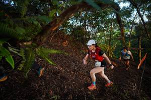 BIB: 2054
                            <button type="button" onclick="openModal(21865953)" class="btn btn-primary btn-sm float-right btn-popup" data-toggle="modal" data-target=".modal-high-quality">
                        <i class="fas fa-shopping-cart"></i> Add to Cart
                    </button>
                                            <button type="button" onclick="isThisMe(21865953, true)" class="btn btn-success btn-sm float-right btn-popup btn-isme hidden" data-toggle="tooltip" data-placement="bottom" title="นี่คือรูปของคุณใช่ไหม คลิกที่นี่เพื่อเอาเข้าอัลบั้ม">
                        <i class="fas fa-plus"></i> Add to album
                    </button>
                    <button type="button" onclick="isThisMe(21865953, false)" class="btn btn-warning btn-sm float-right btn-popup btn-isnotme hidden">
                        <i class="fas fa-ban"></i> Remove from album
                    </button>