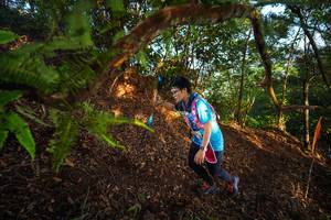 BIB: 
                            <button type="button" onclick="openModal(21871205)" class="btn btn-primary btn-sm float-right btn-popup" data-toggle="modal" data-target=".modal-high-quality">
                        <i class="fas fa-shopping-cart"></i> Add to Cart
                    </button>
                                            <button type="button" onclick="isThisMe(21871205, true)" class="btn btn-success btn-sm float-right btn-popup btn-isme hidden" data-toggle="tooltip" data-placement="bottom" title="นี่คือรูปของคุณใช่ไหม คลิกที่นี่เพื่อเอาเข้าอัลบั้ม">
                        <i class="fas fa-plus"></i> Add to album
                    </button>
                    <button type="button" onclick="isThisMe(21871205, false)" class="btn btn-warning btn-sm float-right btn-popup btn-isnotme hidden">
                        <i class="fas fa-ban"></i> Remove from album
                    </button>