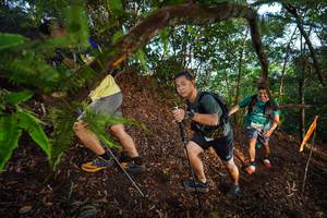 BIB: 
                            <button type="button" onclick="openModal(21877935)" class="btn btn-primary btn-sm float-right btn-popup" data-toggle="modal" data-target=".modal-high-quality">
                        <i class="fas fa-shopping-cart"></i> Add to Cart
                    </button>
                                            <button type="button" onclick="isThisMe(21877935, true)" class="btn btn-success btn-sm float-right btn-popup btn-isme hidden" data-toggle="tooltip" data-placement="bottom" title="นี่คือรูปของคุณใช่ไหม คลิกที่นี่เพื่อเอาเข้าอัลบั้ม">
                        <i class="fas fa-plus"></i> Add to album
                    </button>
                    <button type="button" onclick="isThisMe(21877935, false)" class="btn btn-warning btn-sm float-right btn-popup btn-isnotme hidden">
                        <i class="fas fa-ban"></i> Remove from album
                    </button>