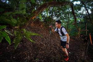 BIB: 
                            <button type="button" onclick="openModal(21867286)" class="btn btn-primary btn-sm float-right btn-popup" data-toggle="modal" data-target=".modal-high-quality">
                        <i class="fas fa-shopping-cart"></i> Add to Cart
                    </button>
                                            <button type="button" onclick="isThisMe(21867286, true)" class="btn btn-success btn-sm float-right btn-popup btn-isme hidden" data-toggle="tooltip" data-placement="bottom" title="นี่คือรูปของคุณใช่ไหม คลิกที่นี่เพื่อเอาเข้าอัลบั้ม">
                        <i class="fas fa-plus"></i> Add to album
                    </button>
                    <button type="button" onclick="isThisMe(21867286, false)" class="btn btn-warning btn-sm float-right btn-popup btn-isnotme hidden">
                        <i class="fas fa-ban"></i> Remove from album
                    </button>