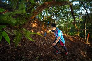 BIB: 
                            <button type="button" onclick="openModal(21871196)" class="btn btn-primary btn-sm float-right btn-popup" data-toggle="modal" data-target=".modal-high-quality">
                        <i class="fas fa-shopping-cart"></i> Add to Cart
                    </button>
                                            <button type="button" onclick="isThisMe(21871196, true)" class="btn btn-success btn-sm float-right btn-popup btn-isme hidden" data-toggle="tooltip" data-placement="bottom" title="นี่คือรูปของคุณใช่ไหม คลิกที่นี่เพื่อเอาเข้าอัลบั้ม">
                        <i class="fas fa-plus"></i> Add to album
                    </button>
                    <button type="button" onclick="isThisMe(21871196, false)" class="btn btn-warning btn-sm float-right btn-popup btn-isnotme hidden">
                        <i class="fas fa-ban"></i> Remove from album
                    </button>