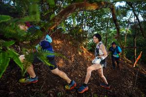 BIB: 
                            <button type="button" onclick="openModal(21873727)" class="btn btn-primary btn-sm float-right btn-popup" data-toggle="modal" data-target=".modal-high-quality">
                        <i class="fas fa-shopping-cart"></i> Add to Cart
                    </button>
                                            <button type="button" onclick="isThisMe(21873727, true)" class="btn btn-success btn-sm float-right btn-popup btn-isme hidden" data-toggle="tooltip" data-placement="bottom" title="นี่คือรูปของคุณใช่ไหม คลิกที่นี่เพื่อเอาเข้าอัลบั้ม">
                        <i class="fas fa-plus"></i> Add to album
                    </button>
                    <button type="button" onclick="isThisMe(21873727, false)" class="btn btn-warning btn-sm float-right btn-popup btn-isnotme hidden">
                        <i class="fas fa-ban"></i> Remove from album
                    </button>